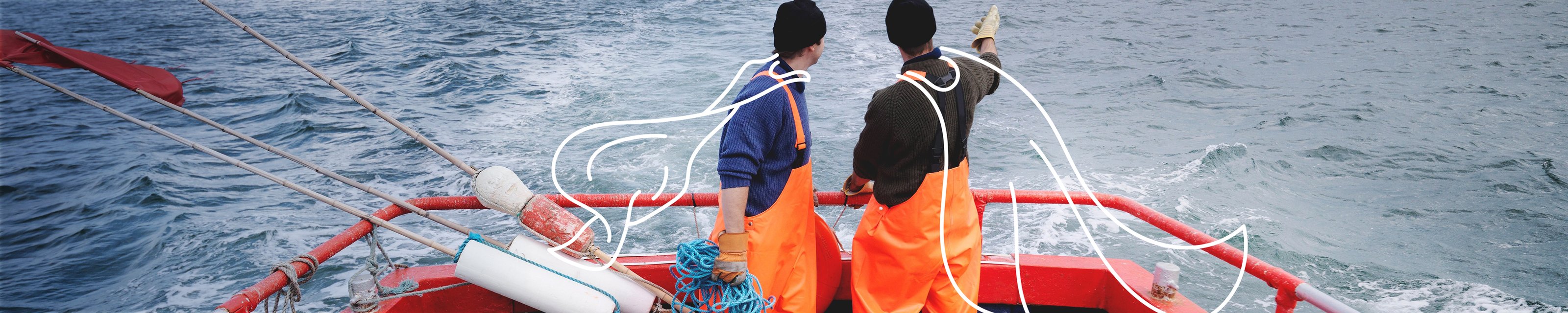 Hoe kopen we onze vis verantwoord in?